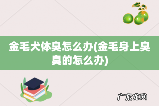 金毛身上臭臭的怎么办 金毛犬体臭怎么办