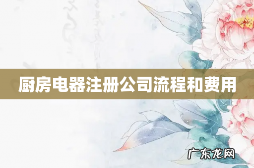 厨房电器注册公司流程和费用