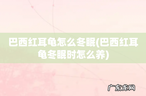 巴西红耳龟冬眠时怎么养 巴西红耳龟怎么冬眠