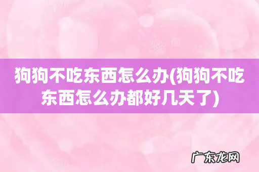 狗狗不吃东西怎么办都好几天了 狗狗不吃东西怎么办