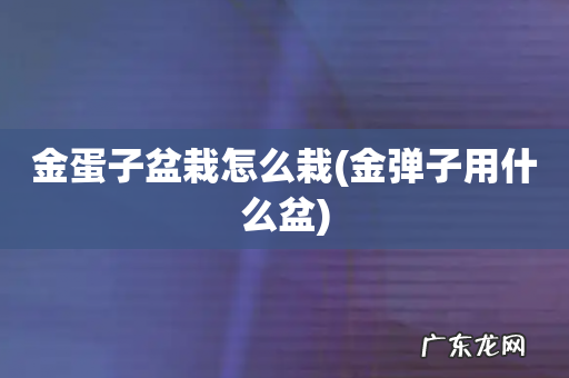 金弹子用什么盆 金蛋子盆栽怎么栽