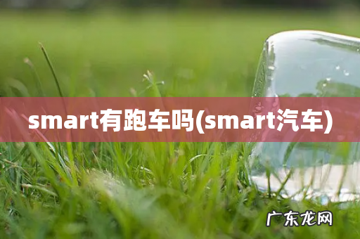smart汽车 smart有跑车吗