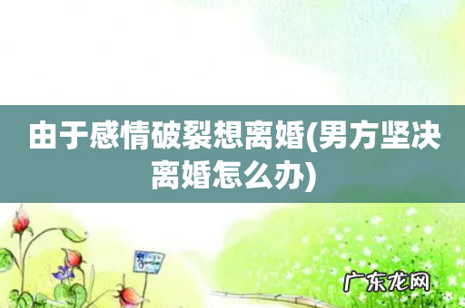 男方坚决离婚怎么办 由于感情破裂想离婚