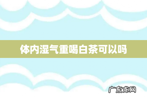 体内湿气重喝白茶可以吗