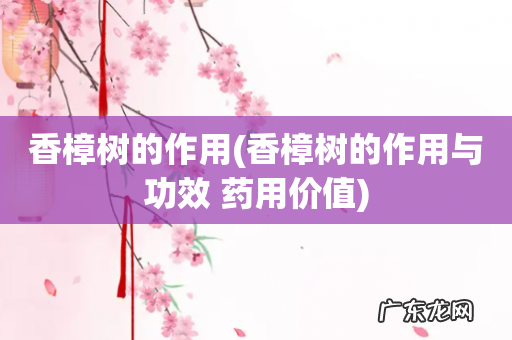 香樟树的作用与功效 药用价值 香樟树的作用