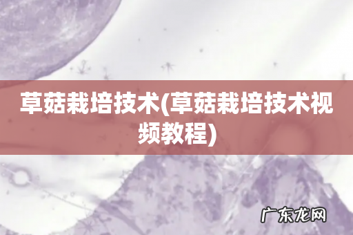 草菇栽培技术视频教程 草菇栽培技术