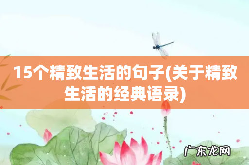 关于精致生活的经典语录 15个精致生活的句子