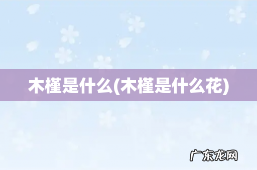 木槿是什么花 木槿是什么