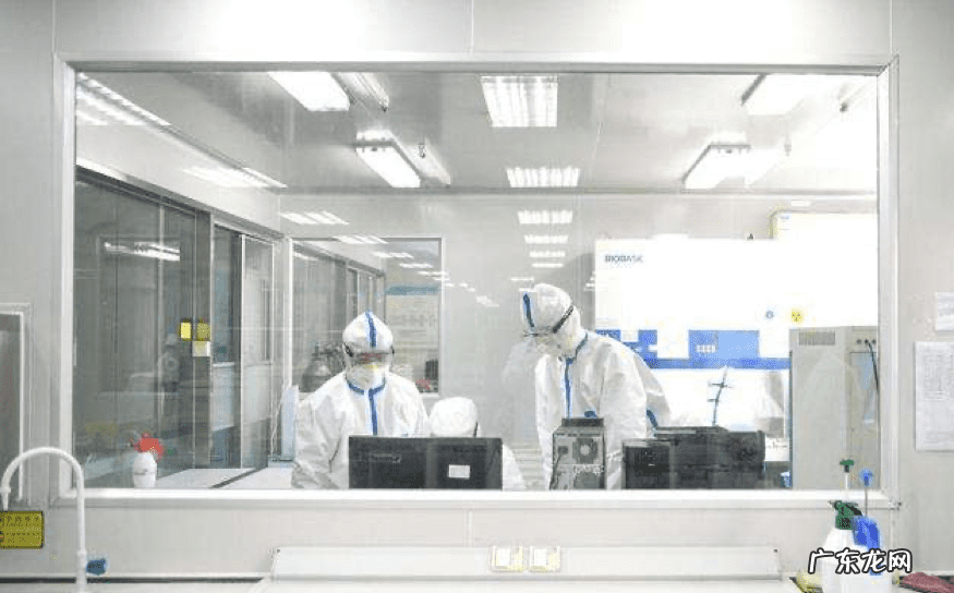 试纸的准确率是多少 试纸的准确率有多高?