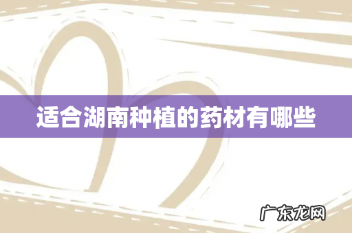 适合湖南种植的药材有哪些