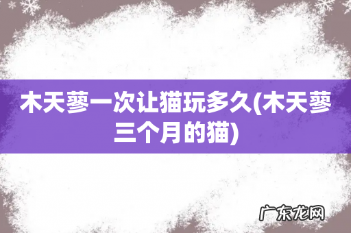 木天蓼三个月的猫 木天蓼一次让猫玩多久