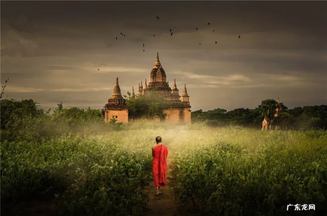 风水和因果矛盾吗 调风水担因果