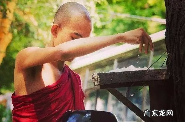 风水和因果矛盾吗 调风水担因果