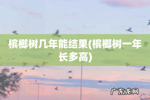 槟榔树一年长多高 槟榔树几年能结果