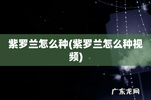 紫罗兰怎么种视频 紫罗兰怎么种