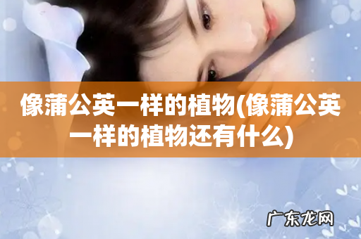 像蒲公英一样的植物还有什么 像蒲公英一样的植物