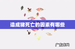 造成猪死亡的因素有哪些