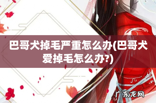 巴哥犬爱掉毛怎么办? 巴哥犬掉毛严重怎么办