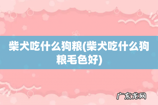 柴犬吃什么狗粮毛色好 柴犬吃什么狗粮