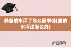缸里的水浑浊怎么办 养鱼的水浑了怎么回事