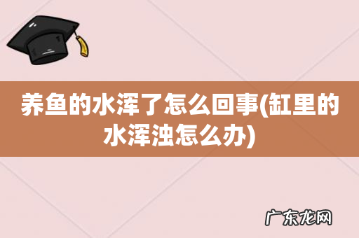 缸里的水浑浊怎么办 养鱼的水浑了怎么回事