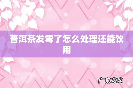 普洱茶发霉了怎么处理还能饮用