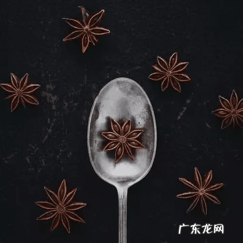 牛至玫瑰 牛至图片