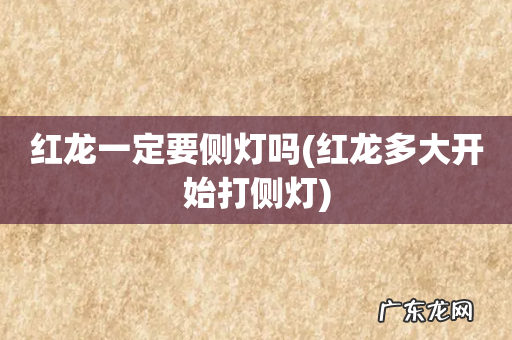 红龙多大开始打侧灯 红龙一定要侧灯吗