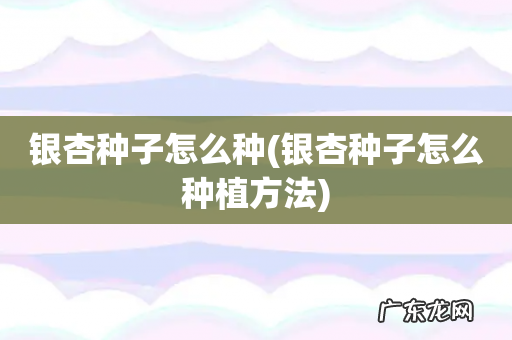 银杏种子怎么种植方法 银杏种子怎么种