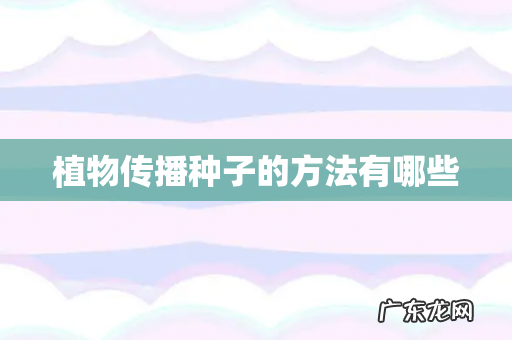 植物传播种子的方法有哪些