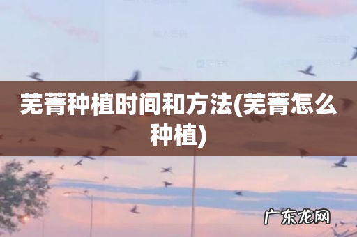 芜菁怎么种植 芜菁种植时间和方法