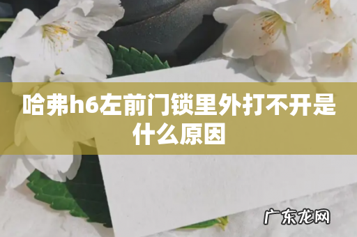 哈弗h6左前门锁里外打不开是什么原因