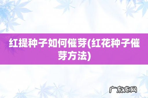 红花种子催芽方法 红提种子如何催芽
