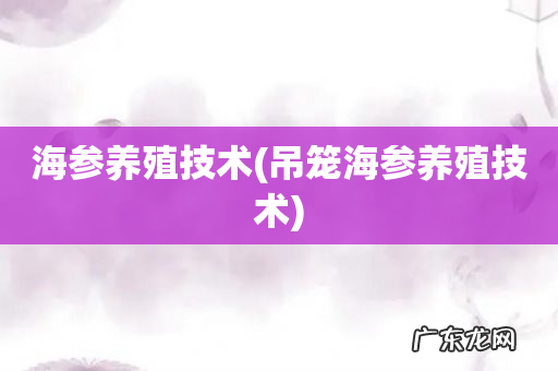 吊笼海参养殖技术 海参养殖技术