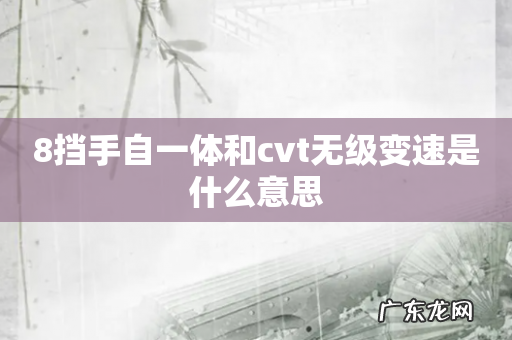 8挡手自一体和cvt无级变速是什么意思
