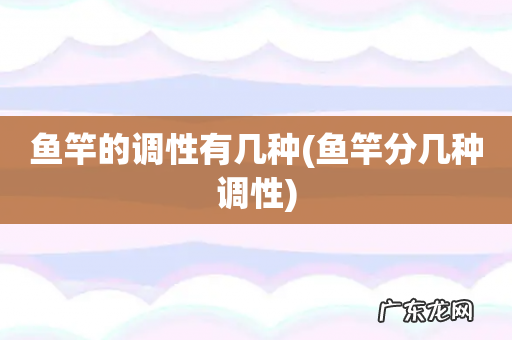 鱼竿分几种调性 鱼竿的调性有几种