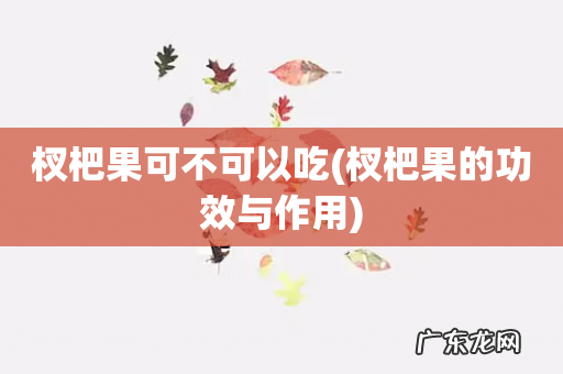 杈杷果的功效与作用 杈杷果可不可以吃