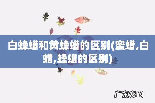 蜜蜡,白蜡,蜂蜡的区别 白蜂蜡和黄蜂蜡的区别