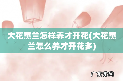 大花蕙兰怎么养才开花多 大花蕙兰怎样养才开花