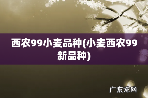 小麦西农99新品种 西农99小麦品种