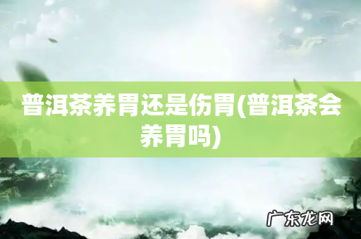 普洱茶会养胃吗 普洱茶养胃还是伤胃