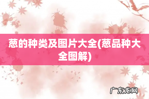 葱品种大全图解 葱的种类及图片大全