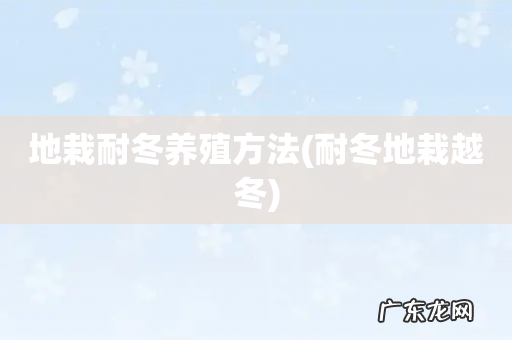 耐冬地栽越冬 地栽耐冬养殖方法
