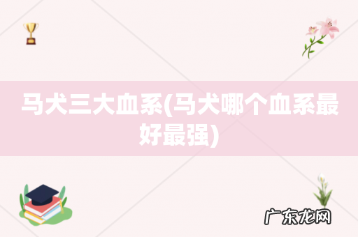 马犬哪个血系最好最强 马犬三大血系