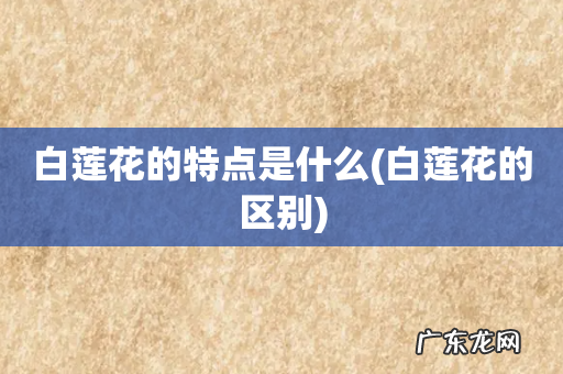 白莲花的区别 白莲花的特点是什么