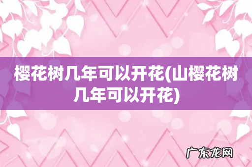 山樱花树几年可以开花 樱花树几年可以开花