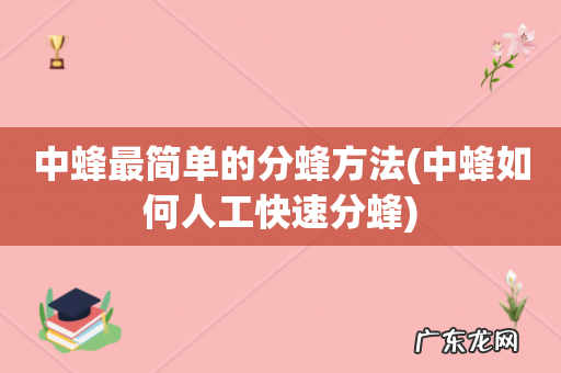 中蜂如何人工快速分蜂 中蜂最简单的分蜂方法