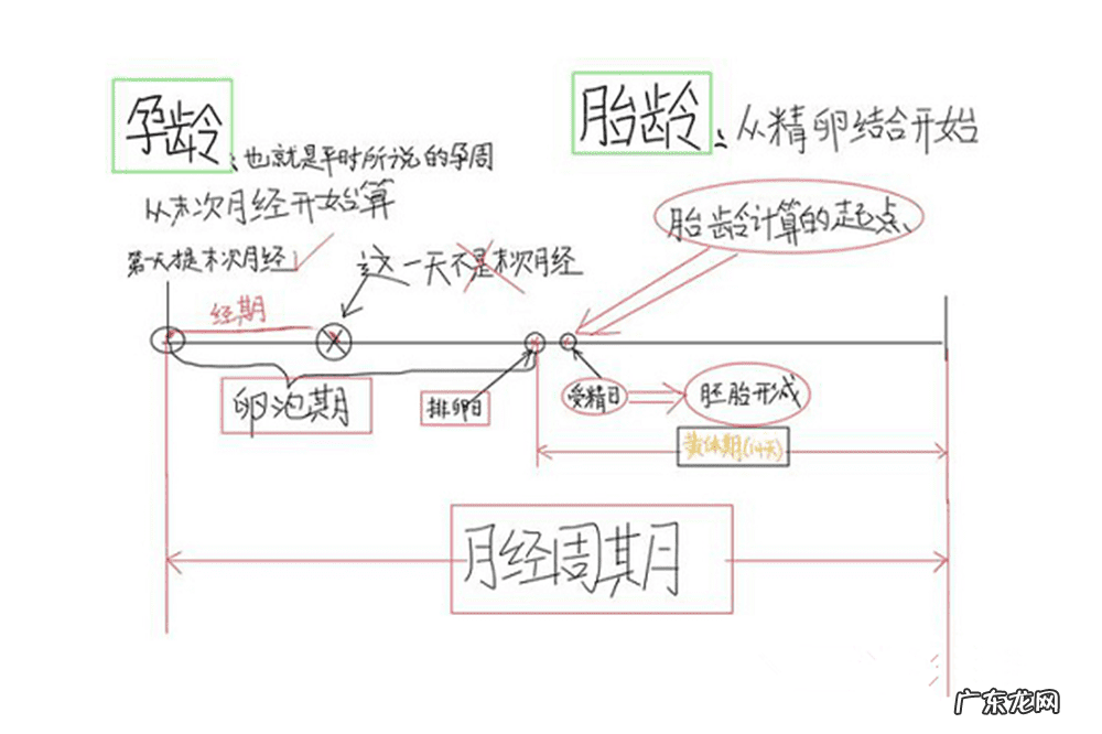 月经刚走两三天会怀孕吗 月经来了,会不会怀孕