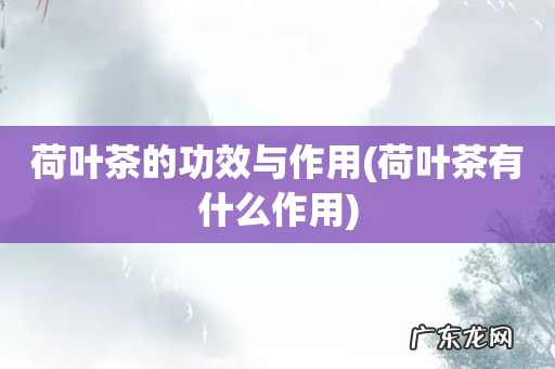 荷叶茶有什么作用 荷叶茶的功效与作用