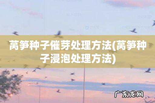 莴笋种子浸泡处理方法 莴笋种子催芽处理方法